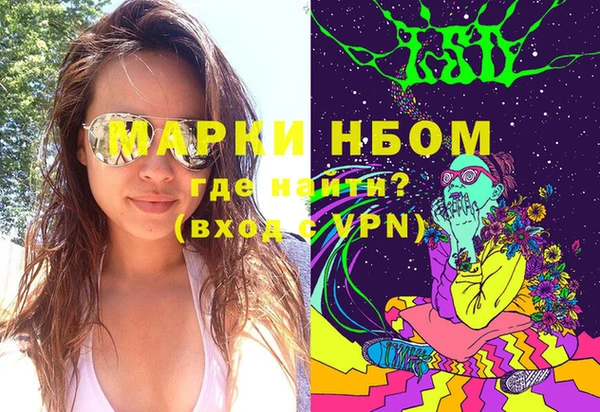 прущие грибы Мегион