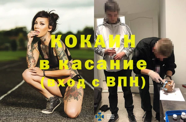 стафф Тольятти