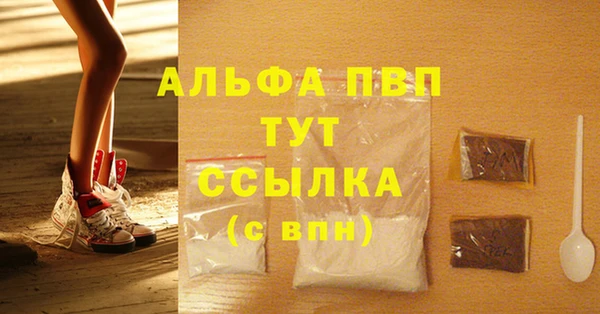 прущие грибы Мегион