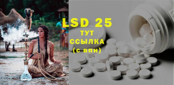 прущие грибы Мегион