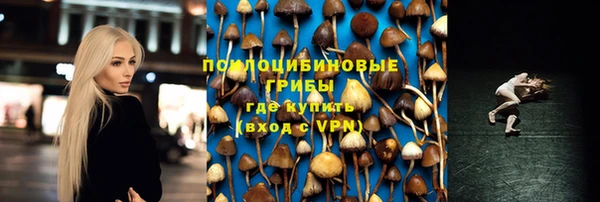 стафф Тольятти